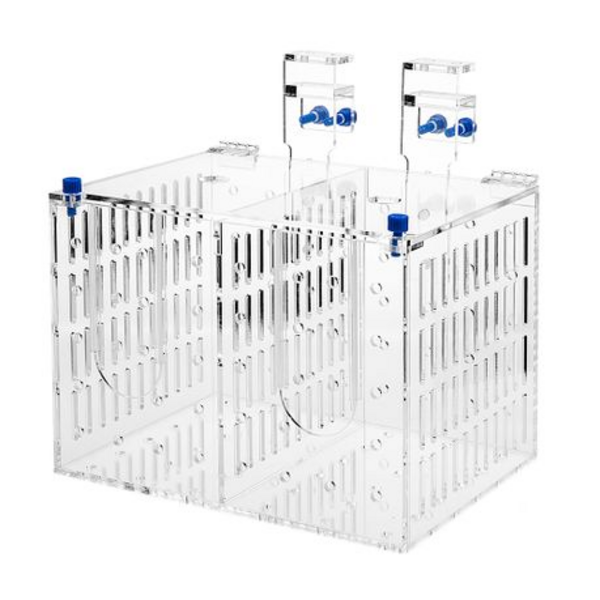 Acrylic Double Fish Isolation Box 200 x 120 x 130mm