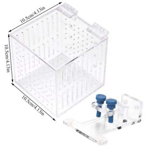 Acrylic Fish Isolation Box with Hanging Bracket 105mm Cube
