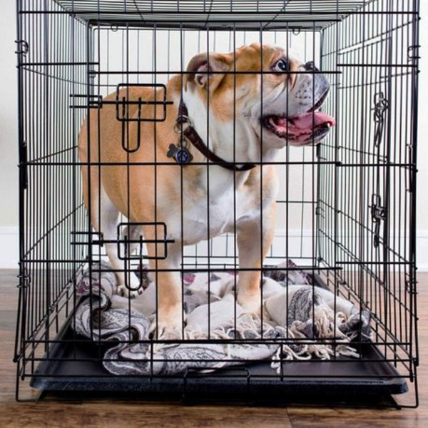 90cm Foldable Steel Pet Crate with Double Doors & Removable Tray