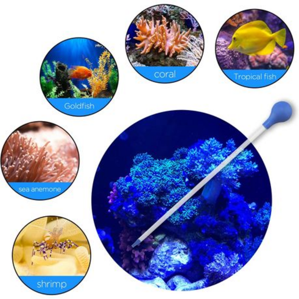 Coral Feeding Tube Set - 2 Piece (55cm & 35cm)