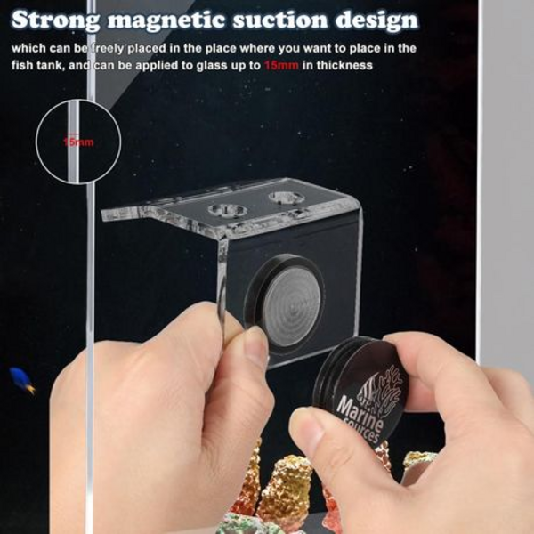 Marine Sources Magnetic Acrylic Coral Bracket Holder - 4-Hole