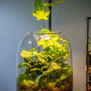 Mini Aquarium Spotlight H3 - Clip-On LED Light for 20-30cm Tanks (6W) - Image 2