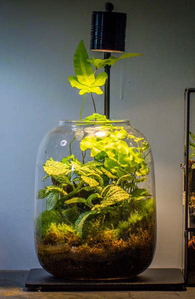Mini Aquarium Spotlight H3 - Clip-On LED Light for 20-30cm Tanks (6W)