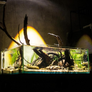 Mini Aquarium Spotlight H3 - Clip-On LED Light for 20-30cm Tanks (6W) - Image 4