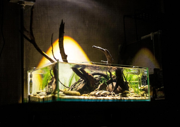 Mini Aquarium Spotlight H3 - Clip-On LED Light for 20-30cm Tanks (6W)