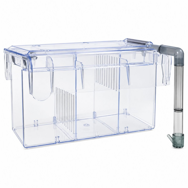 External Cycle Breeder Box L Hang-On Aquarium Fish Tank