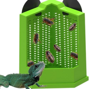 Reptile Food Bowl, Reptile Feeder Feeding Bowl (LRG) - Image 4