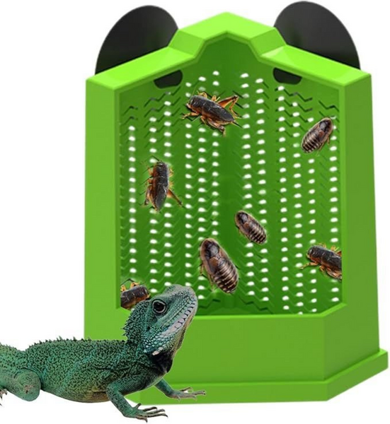 Reptile Food Bowl, Reptile Feeder Feeding Bowl (LRG)