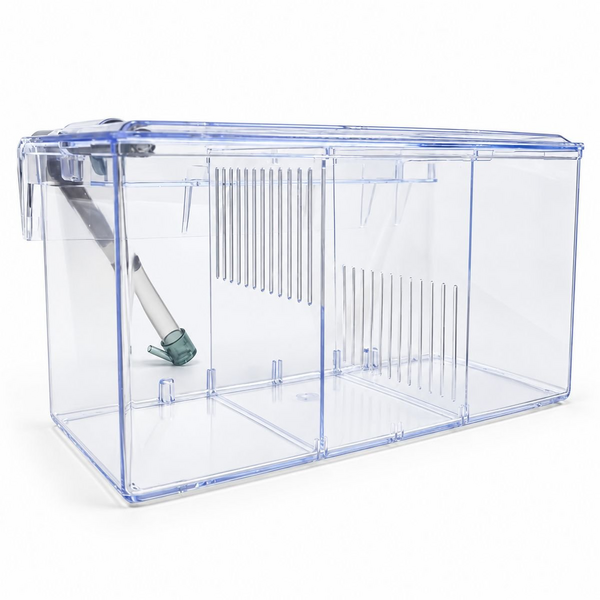 External Cycle Breeder Box L Hang-On Aquarium Fish Tank